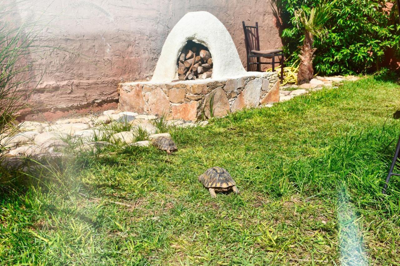 Route De Miel * أغادير